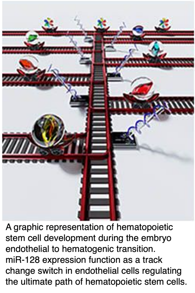 Nat Cell Biol Publication