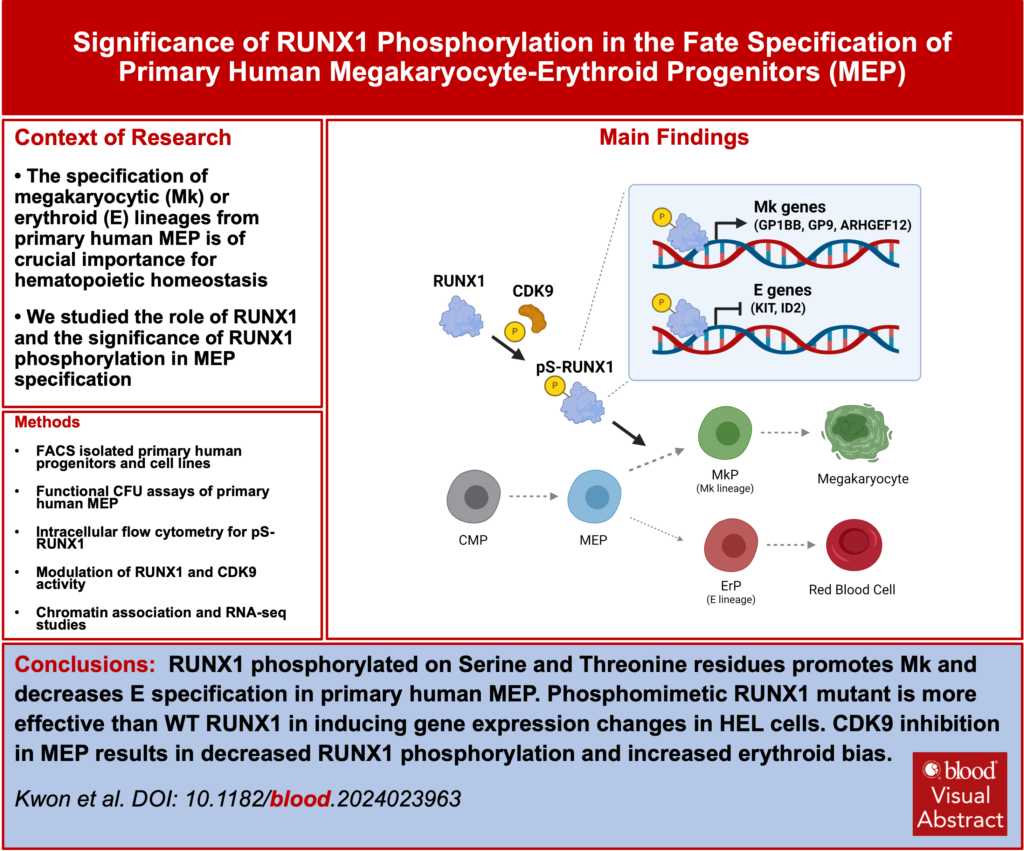 Krause Lab Blood Publication