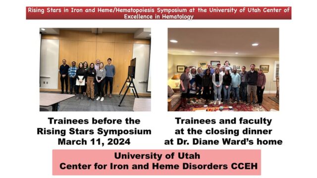 cihd-rising-stars