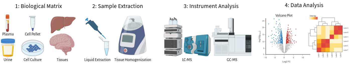 Metabolomics Core Facility