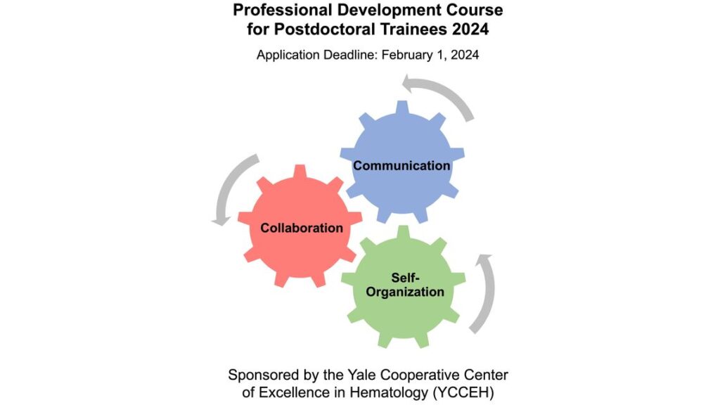 Yale CCEH Professional Development Course for Postdoctoral Trainees 2024