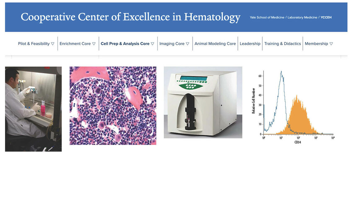 Cell Preparation and Analysis Core