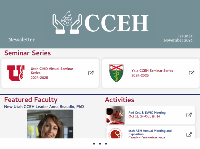 cceh-nov-preview-small