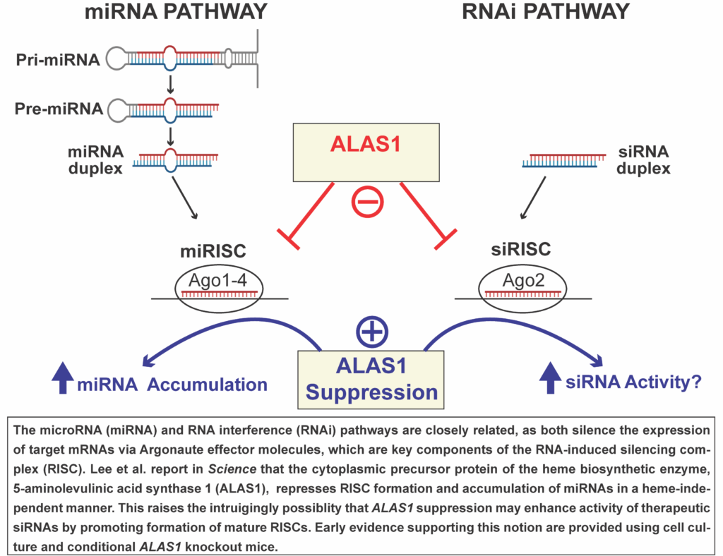 Yasuda and Lai Lab Publication