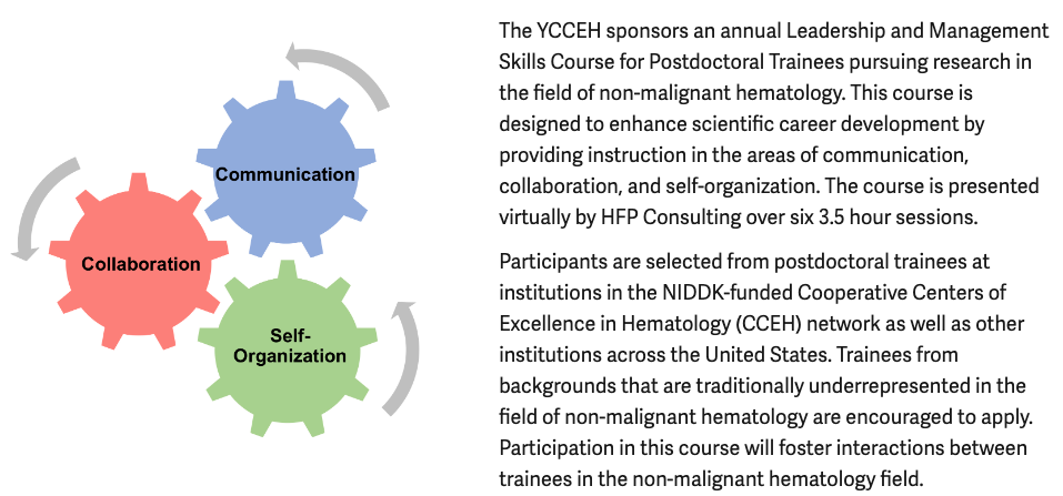 YCCEH Professional Training Opportunity 2025