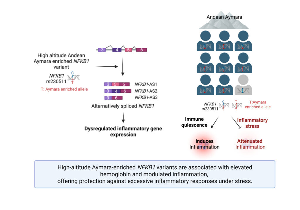 Prchal Lab Nature Publication