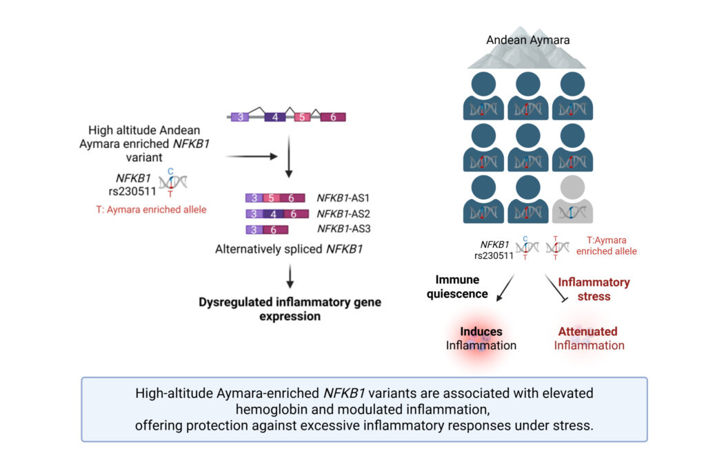 Prchal Lab Nature Publication