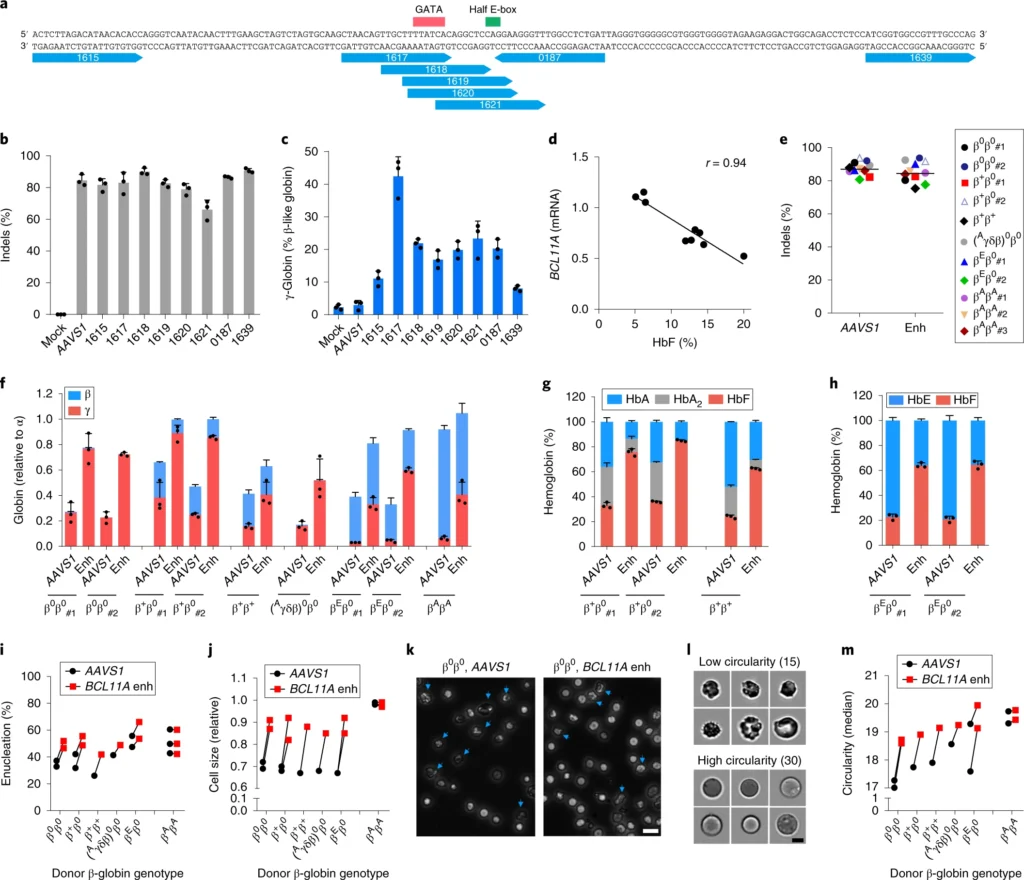 Highly efficient therapeutic gene editing of human hematopoietic stem cells