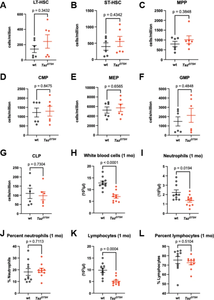 Dysregulation in a Patient-Tailored Mouse Model of Barth Syndrome.